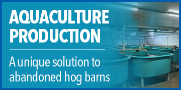 Aquaculture Facility Thrives in Former Hog Barn | Sustainable Seafood Production